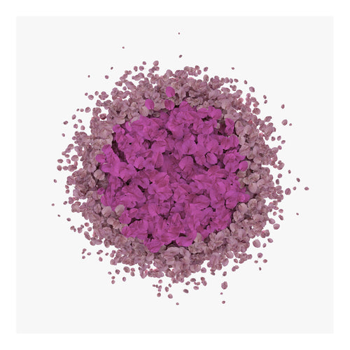 Falling leaves (Bougainvillea)