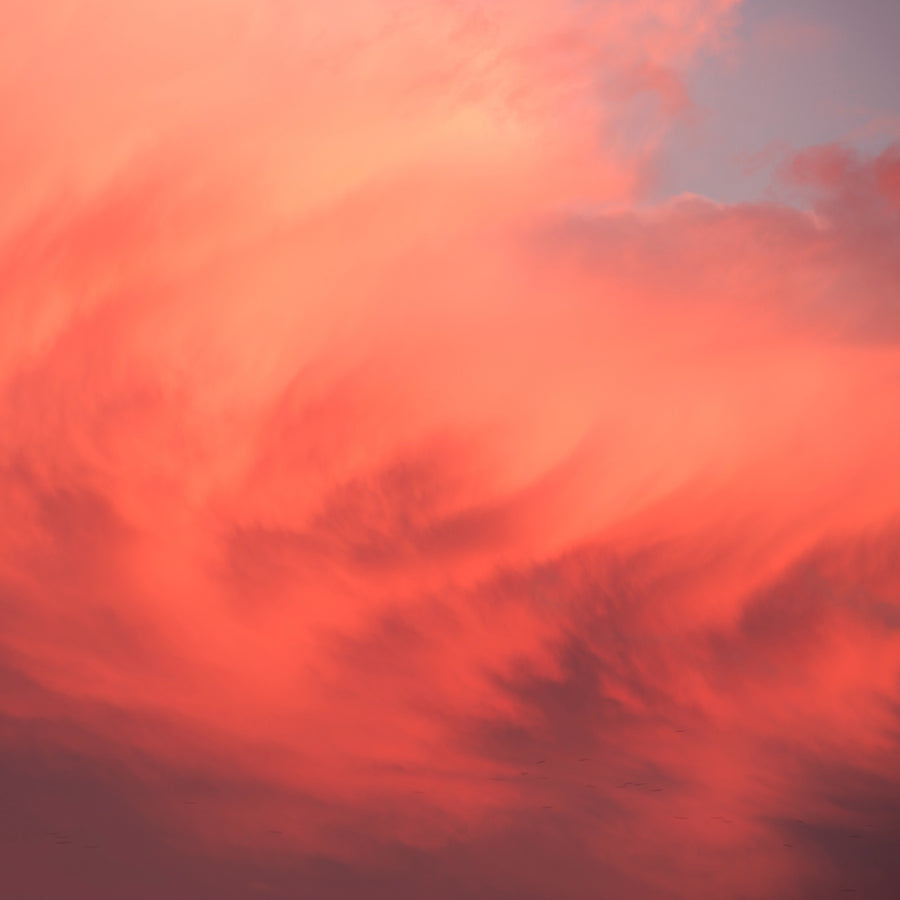 Cloud Studies | The Red Wind
