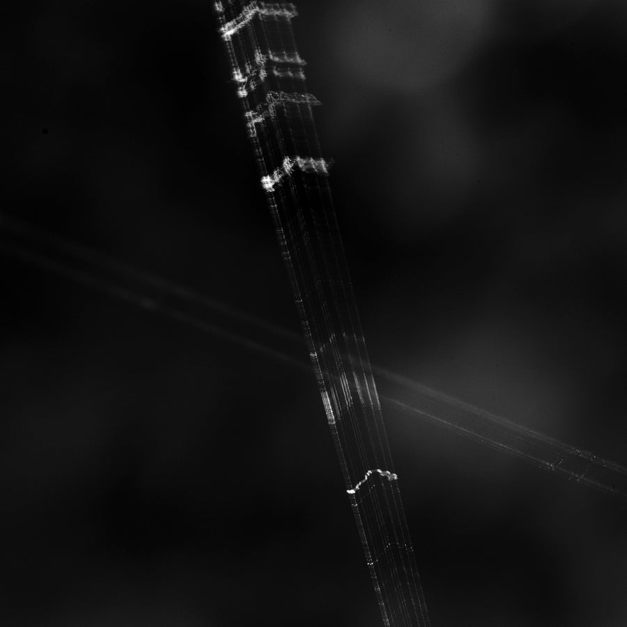 Spinrag #3