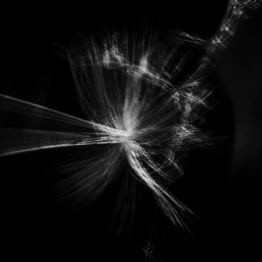 Spinrag #4