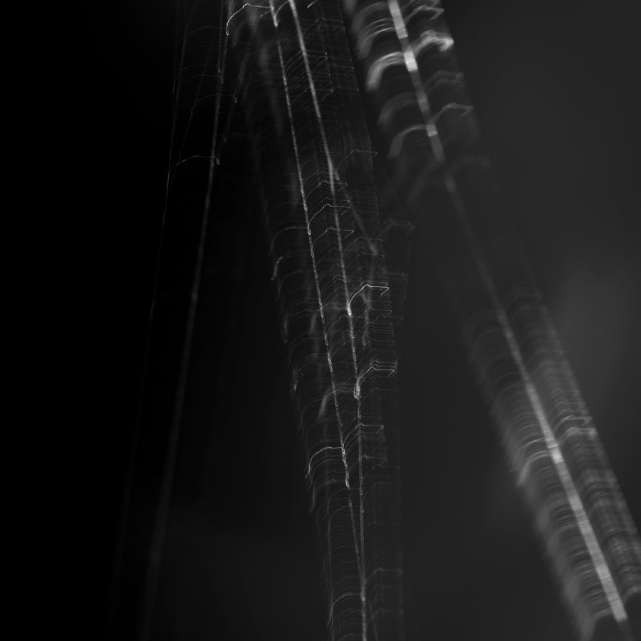 Spinrag #5