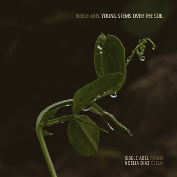 Young Stems over the Soils